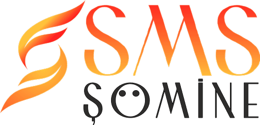 Samsun SMS Şömine